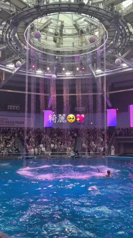 フォロバのTikTok投稿
