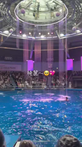 フォロバのTikTok投稿