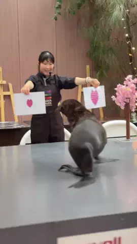 フォロバのTikTok投稿