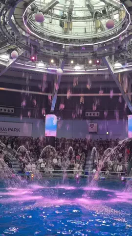 フォロバのTikTok投稿