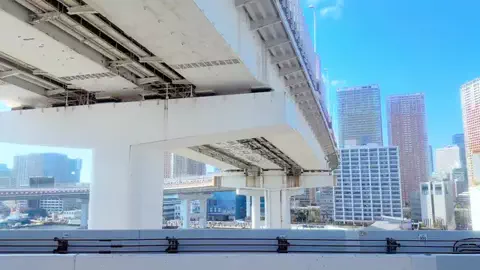 【東京散歩】ゆたん🔰🐾のTikTok投稿