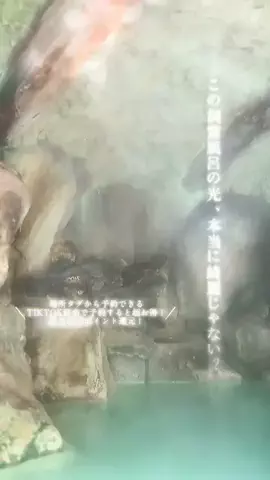 Fuki Fu-campのTikTok投稿