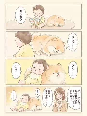 都内のチワワのTikTok投稿