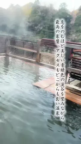 Fuki Fu-campのTikTok投稿