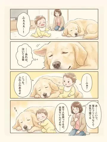 都内のチワワのTikTok投稿