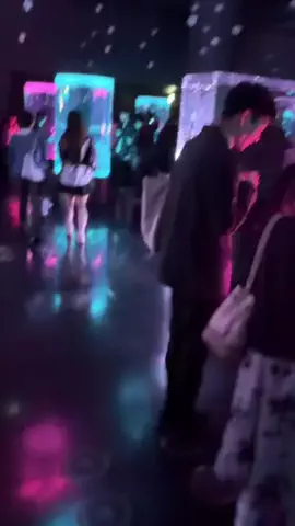 フォロバのTikTok投稿