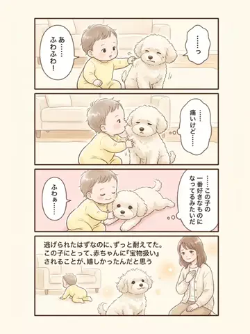 都内のチワワのTikTok投稿