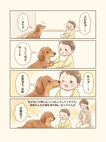 都内のチワワのTikTok投稿