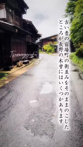 Fuki Fu-campのTikTok投稿