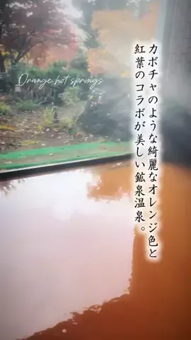 Fuki Fu-campのTikTok投稿