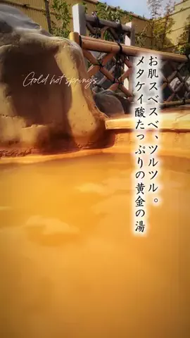 Fuki Fu-campのTikTok投稿