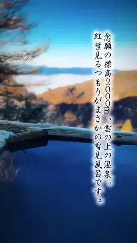 Fuki Fu-campのTikTok投稿