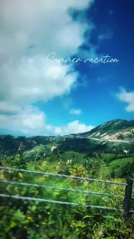 Fuki Fu-campのTikTok投稿