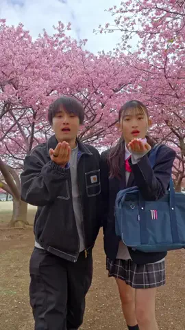 かっちゃんのTikTok投稿