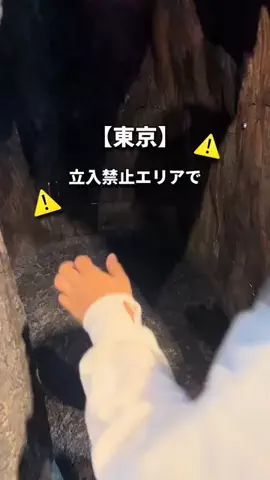 TabioのTikTok投稿