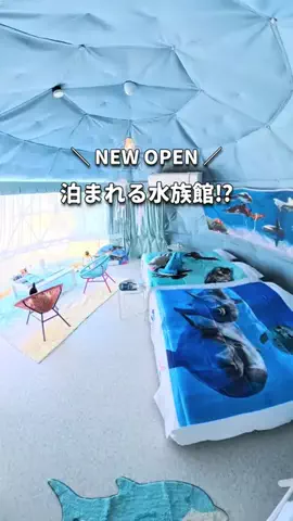 TabioのTikTok投稿