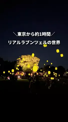 TabioのTikTok投稿