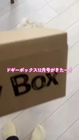 まめこむ🐶🐶のTikTok投稿