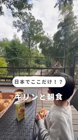 TabioのTikTok投稿