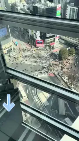 綾瀬🐼のTikTok投稿