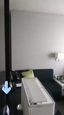 綾瀬🐼のTikTok投稿