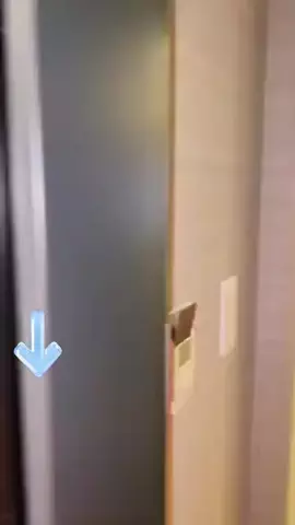 綾瀬🐼のTikTok投稿