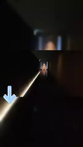 綾瀬🐼のTikTok投稿