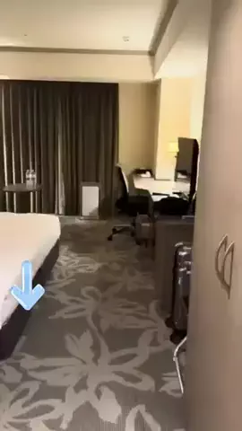 綾瀬🐼のTikTok投稿