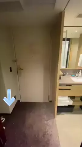 綾瀬🐼のTikTok投稿