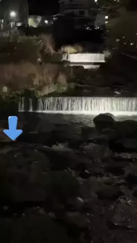 綾瀬🐼のTikTok投稿