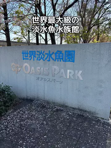 ポイけしき♨️宿図鑑のTikTok投稿