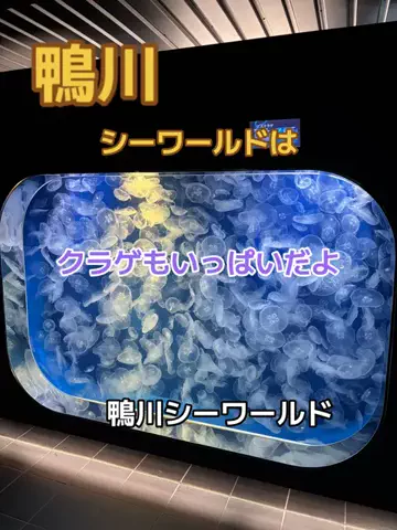 ポイけしき♨️宿図鑑のTikTok投稿