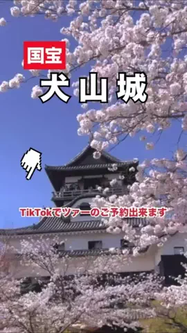WINGのTikTok投稿