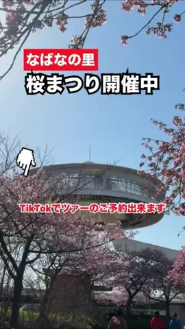 WINGのTikTok投稿