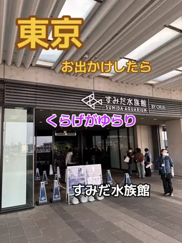 ポイけしき♨️宿図鑑のTikTok投稿