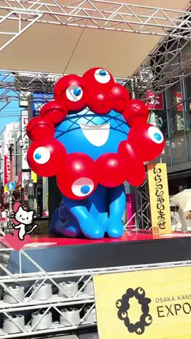 あおちゃ－ん 🍇🍎のTikTok投稿