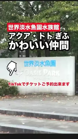 WINGのTikTok投稿