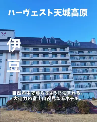 Coto.🌞🌛のTikTok投稿