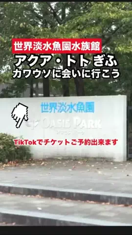 WINGのTikTok投稿