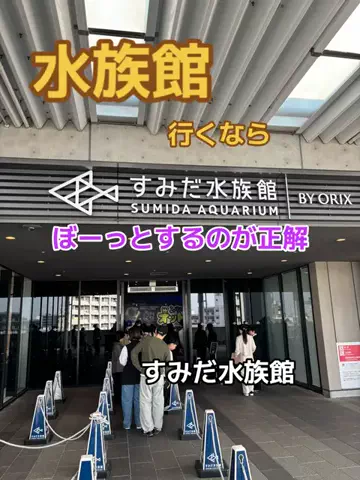 ポイけしき♨️宿図鑑のTikTok投稿