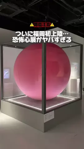 カイセイの九州旅🏃🏻‍♂️👍🏻のTikTok投稿
