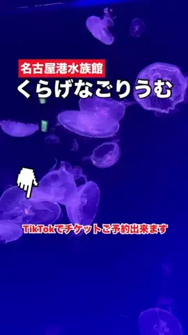 WINGのTikTok投稿