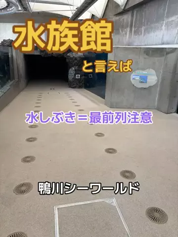 ポイけしき♨️宿図鑑のTikTok投稿