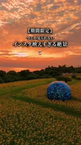 HikaruのTikTok投稿
