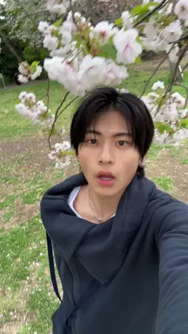 中村圭佑のTikTok投稿