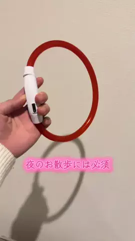 塩見彩🐩🐈のTikTok投稿