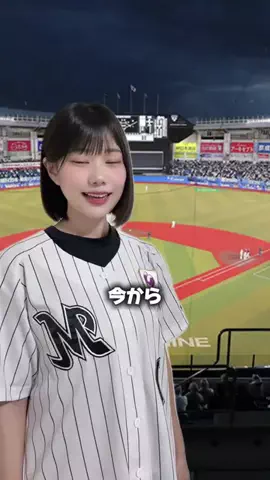 売り子ちゃん【野球女子】のTikTok投稿