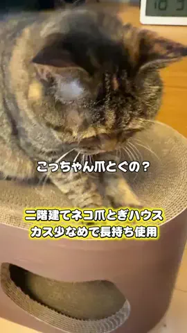 マコトーンの正直レビューのTikTok投稿