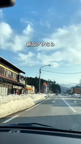 新潟グルメ/NIIGTA SELECTのTikTok投稿