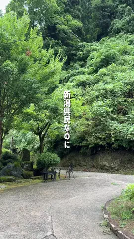 新潟グルメ/NIIGTA SELECTのTikTok投稿